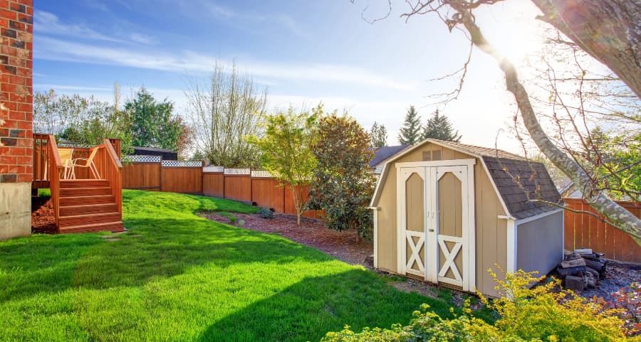 Fenced backyard with storage shed in Abilene